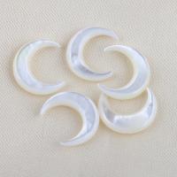 Natural White Shell Beads, Moon, DIY, white 