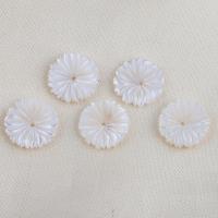 Natural White Shell Beads, Flower, DIY, white 