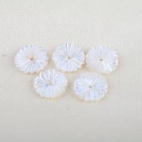 Natural White Shell Beads, Flower, DIY, white 