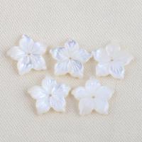 Natural White Shell Beads, Flower, DIY, white 