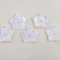 Natural White Shell Beads, Flower, DIY, white 