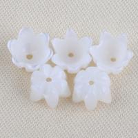 Natural White Shell Beads, Flower, DIY, white 