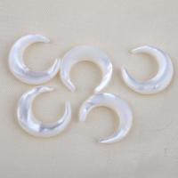 Natural White Shell Beads, Moon, DIY, white 