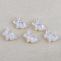 Natural White Shell Beads, Rabbit, DIY, white 