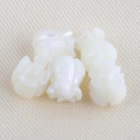 Trochus Beads, Flower, DIY, white 