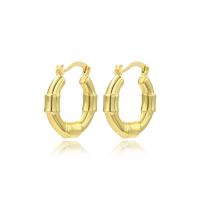 Brass Hoop Earring, plated, for woman 