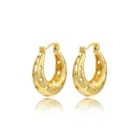 Brass Hoop Earring, plated & for woman, golden 