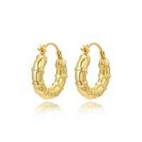 Brass Hoop Earring, plated, for woman 