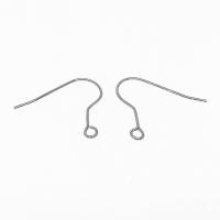 Pure Titanium Earring Hook, plated, DIY, original color 