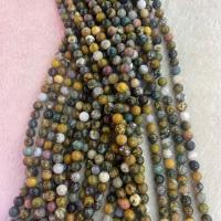 Single Gemstone Beads, Marine Fossil, Round, DIY mixed colors Approx 38 cm 