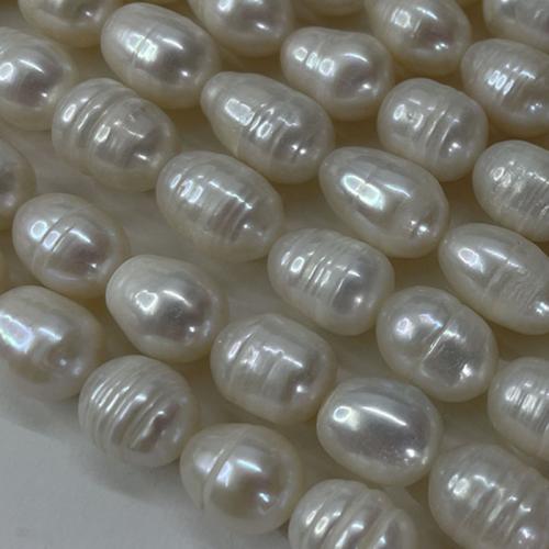 Perlas Arroz Freshwater, Perlas cultivadas de agua dulce, Bricolaje, Blanco, 10-11mm, aproximado 30PCs/Sarta, Vendido por Sarta