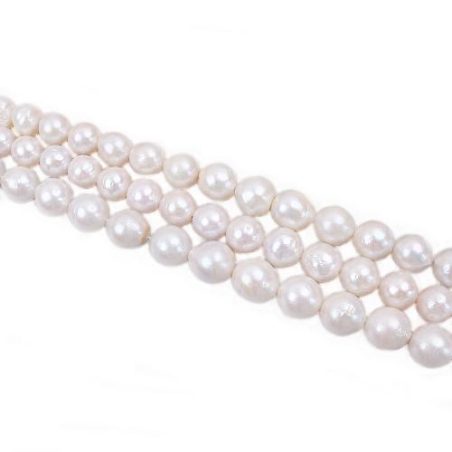 Natural Freshwater Pearl Loose Beads, Slightly Round, DIY, white, Length about 12-15mm Approx 38 cm 