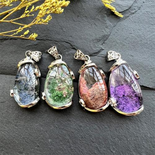 Glass Brass Pendants, with Dried Flower & Brass, silver color plated, random style & DIY & mixed, mixed colors [