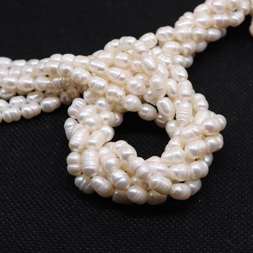 Rice Cultured Freshwater Pearl Beads, DIY white Approx 38 cm [