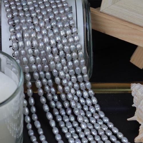 Rice Cultured Freshwater Pearl Beads, DIY, grey, Length about 3.5-4mm Approx 36 cm [