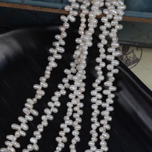 Rice Cultured Freshwater Pearl Beads, DIY, white, Length about 3-3.5mm Approx 40 cm [