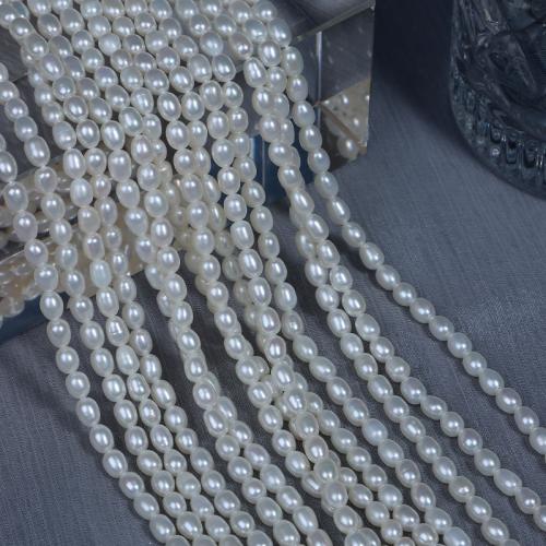 Rice Cultured Freshwater Pearl Beads, DIY, white, 4.5mm Approx 38 cm [