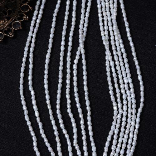 Rice Cultured Freshwater Pearl Beads, DIY, white, Length about 2-2.5mm Approx 37 cm [