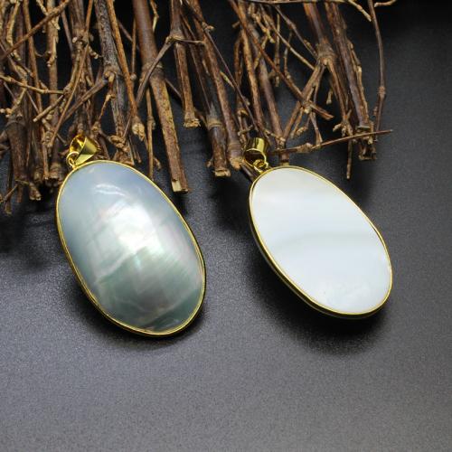 Brass Shell Pendants, with Brass, Oval, gold color plated, DIY [