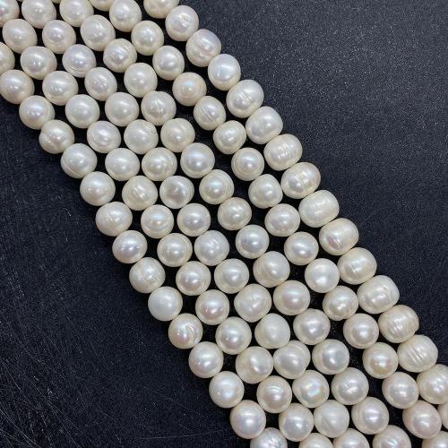 Natural Freshwater Pearl Loose Beads, Slightly Round, DIY white Approx 38 cm 