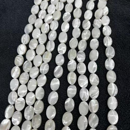 Trochus Beads, Flat Oval, fashion jewelry & DIY, white, Approx 