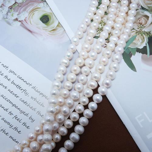 Natural Freshwater Pearl Loose Beads, Slightly Round, fashion jewelry & DIY, white, Length about 10-11mm Approx 38 cm 