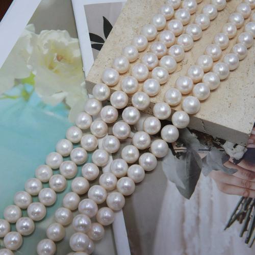 Natural Freshwater Pearl Loose Beads, Slightly Round, fashion jewelry & DIY, white, Length about 10-11mm Approx 38 cm 