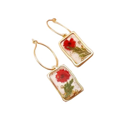 Resin Drop Earring, Brass, with Dried Flower & Resin, epoxy gel, for woman, golden 