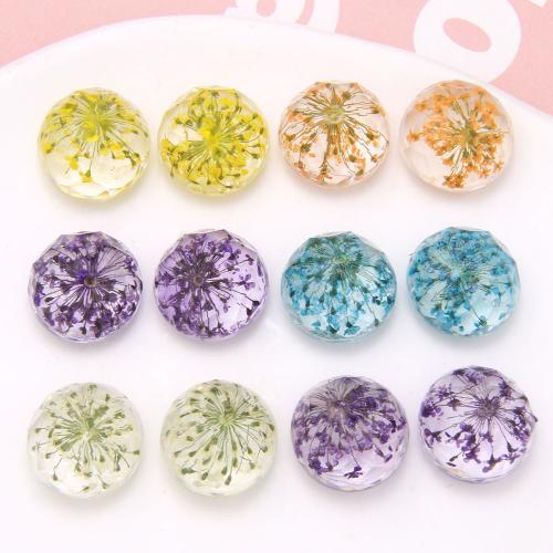 DIY Hair Flowers, Resin, with Dried Flower 17mm [