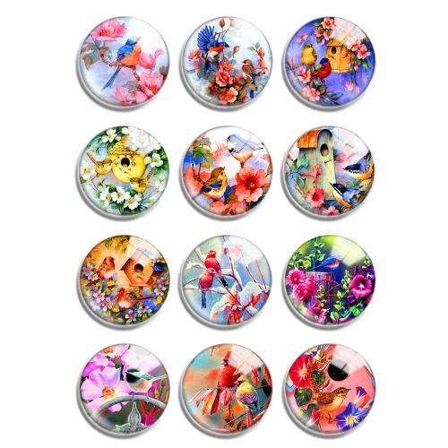 Time Gem Cabochon, Glass, with Resin, Flat Round, mixed pattern & DIY 