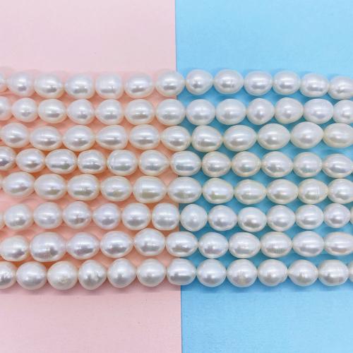 Rice Cultured Freshwater Pearl Beads, DIY white Approx 38 cm [