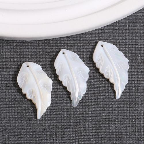 Pendentifs de coquillage naturel, coquille, feuille, DIY, blanc Vendu par PC