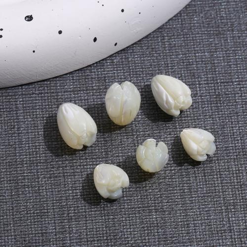 Trochus Beads, Flower, polished, DIY [