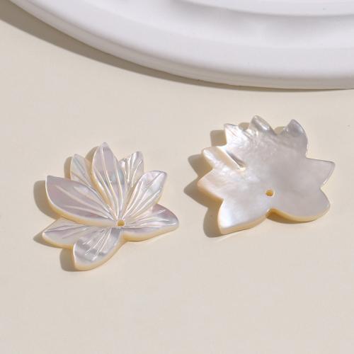 Pendentifs coquille en blanche, Lèvre blanche, fleur, DIY, blanc Vendu par PC[