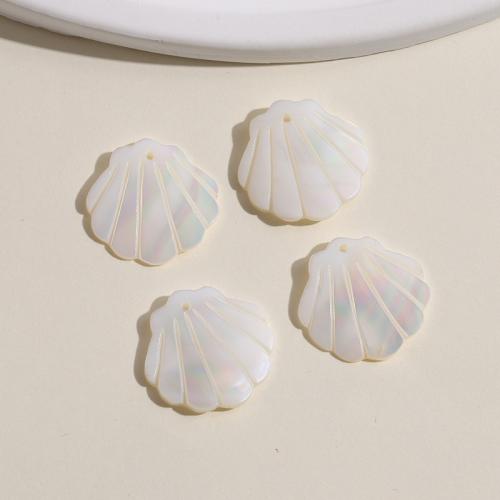 Pendentifs coquille en blanche, Lèvre blanche, poli, DIY Vendu par PC[