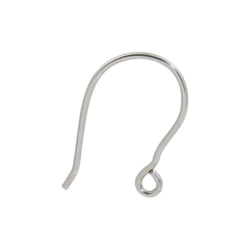 Stainless Steel Drop Earring, 316 Stainless Steel, DIY, original color, 21mm 