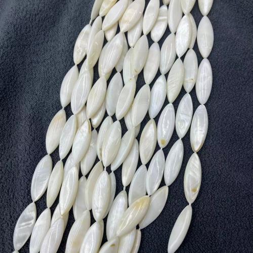 Natural Freshwater Shell Beads, DIY [