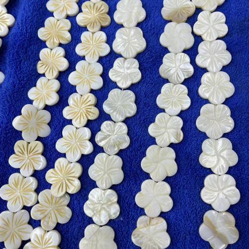 Natural Freshwater Shell Beads, Flower, DIY [