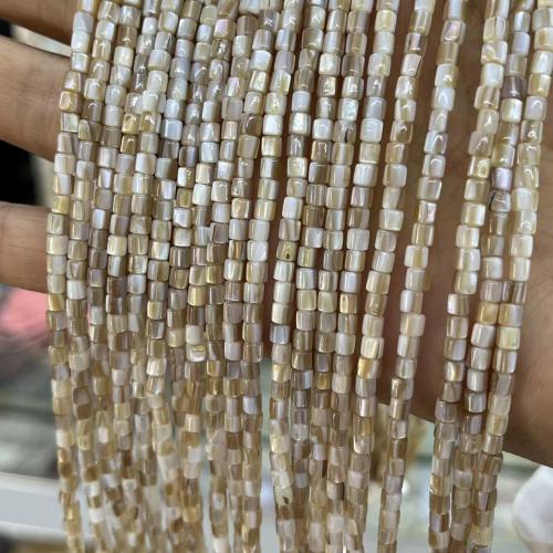 Natural Freshwater Shell Beads, DIY [