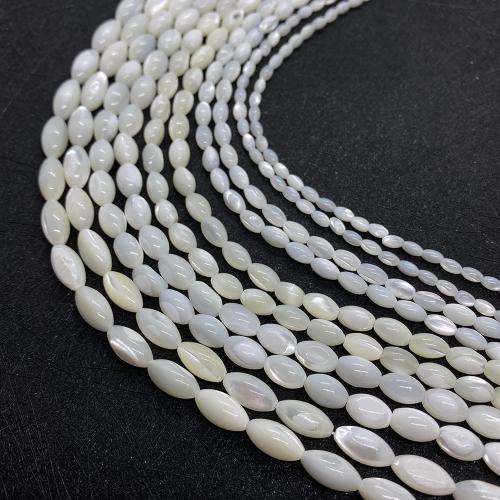 Natural Freshwater Shell Beads, irregular, DIY [