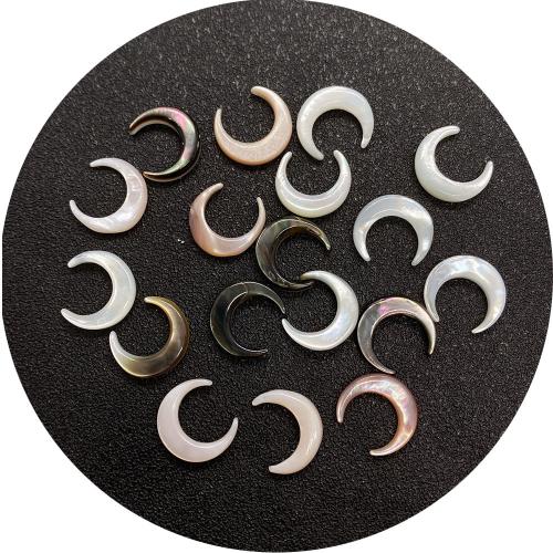 Seashell Beads, Natural Seashell, Moon, DIY [