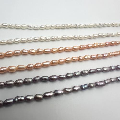 Rice Cultured Freshwater Pearl Beads, DIY 2-3mm Approx 35 cm [