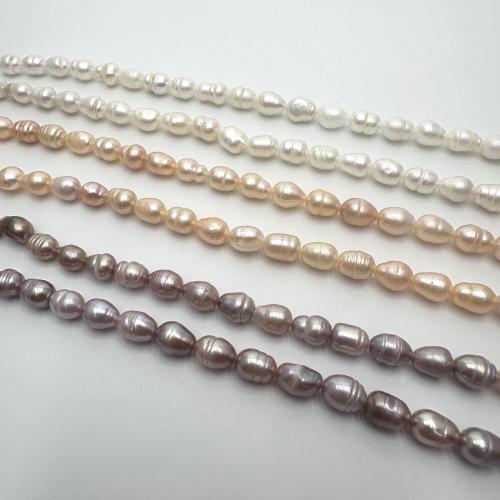 Rice Cultured Freshwater Pearl Beads, DIY 5-6mm Approx 37 cm [