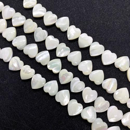 Seashell Beads, Natural Seashell & DIY Approx 38 cm [