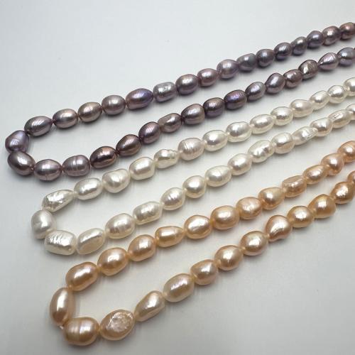 Keshi Cultured Freshwater Pearl Beads, DIY 7-8mm Approx 37 cm 