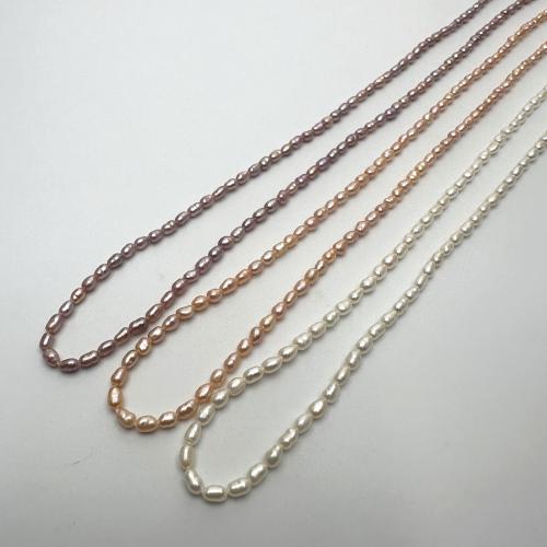 Rice Cultured Freshwater Pearl Beads, DIY 2-3mm Approx 37 cm [