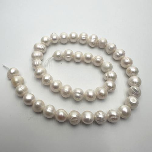 Potato Cultured Freshwater Pearl Beads, DIY 8-9mm Approx 37 cm 