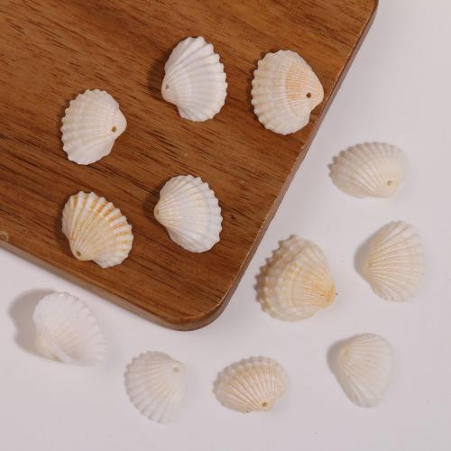 Pendentifs de coquillage naturel, coquille, coquille, DIY, blanc Vendu par sac