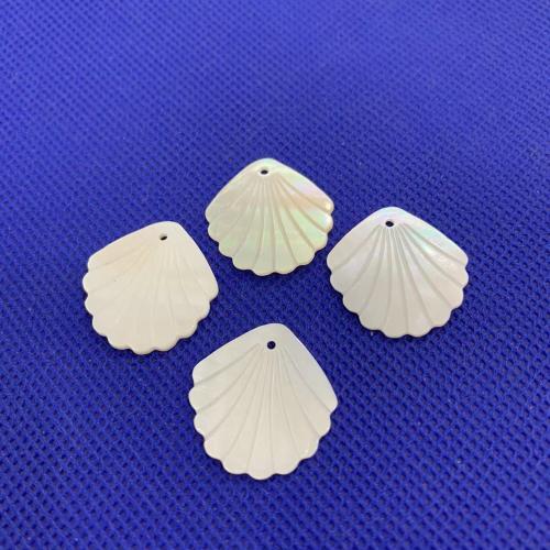 Pendentifs de coquillage naturel, coquille d'eau douce, coquille, DIY & normes différentes pour le choix, blanc, Vendu par PC