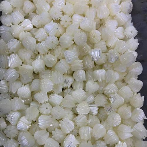 Trochus Beads, Flower, DIY, white [